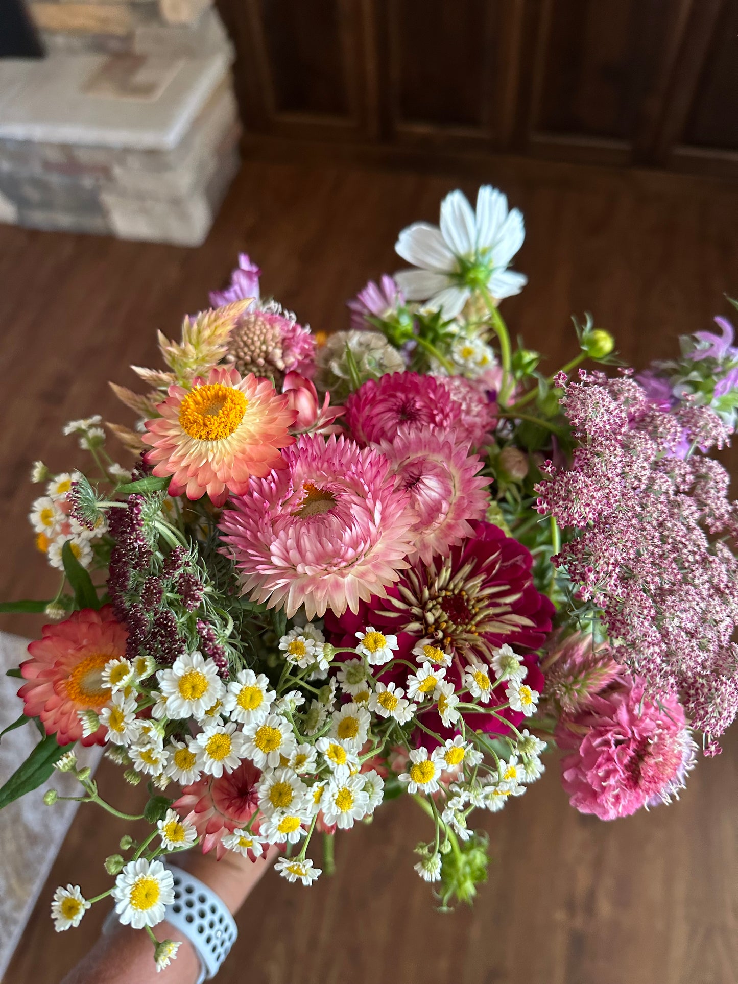 Strawflower Seed