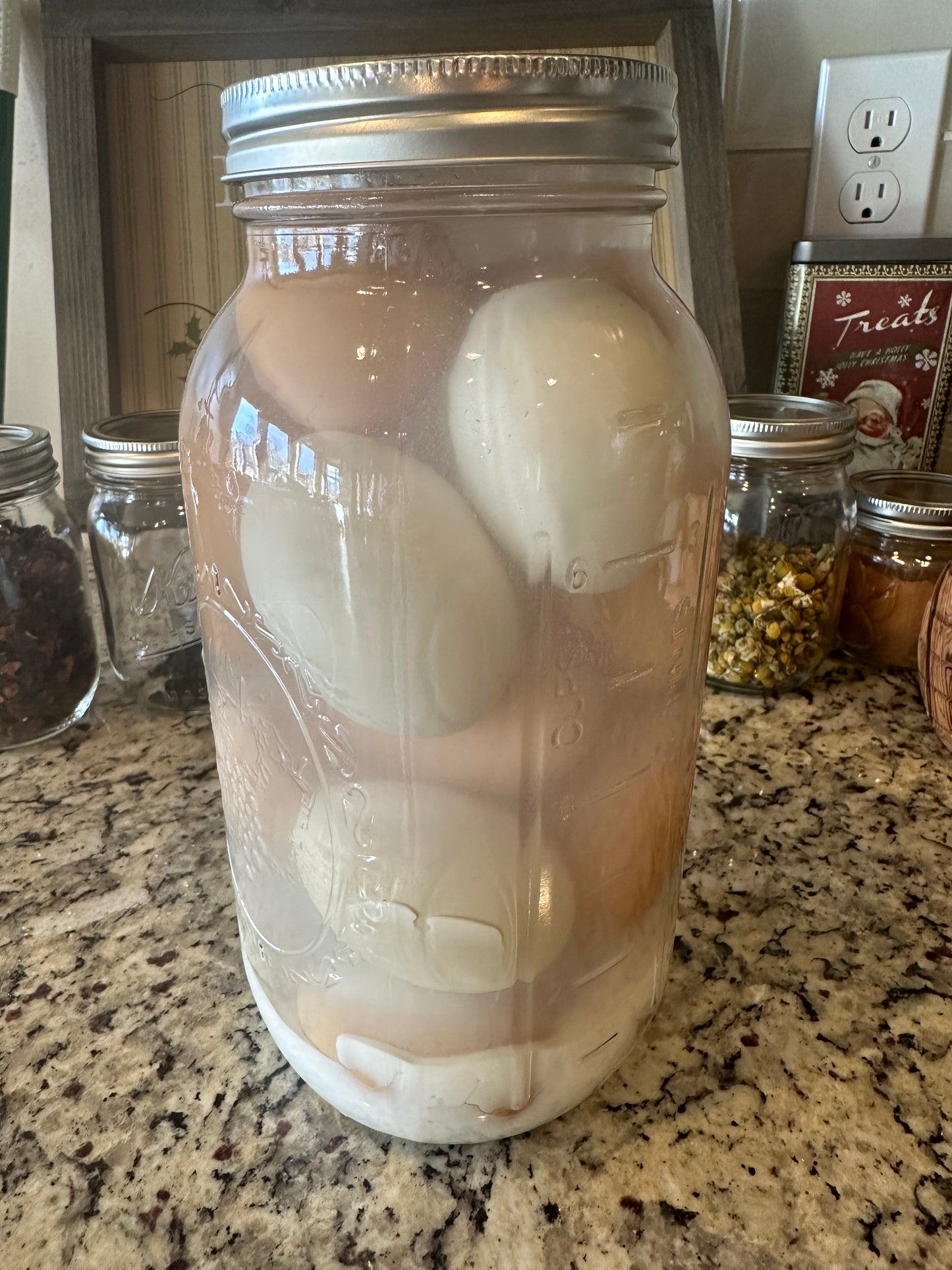Waterglassed Eggs